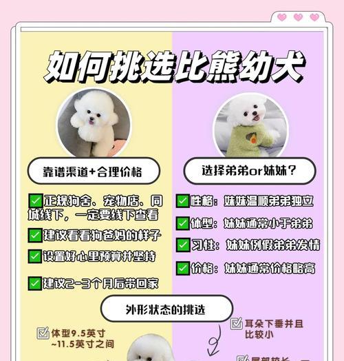 比熊四个月多久驱虫？（宠物狗常规驱虫时间及注意事项）