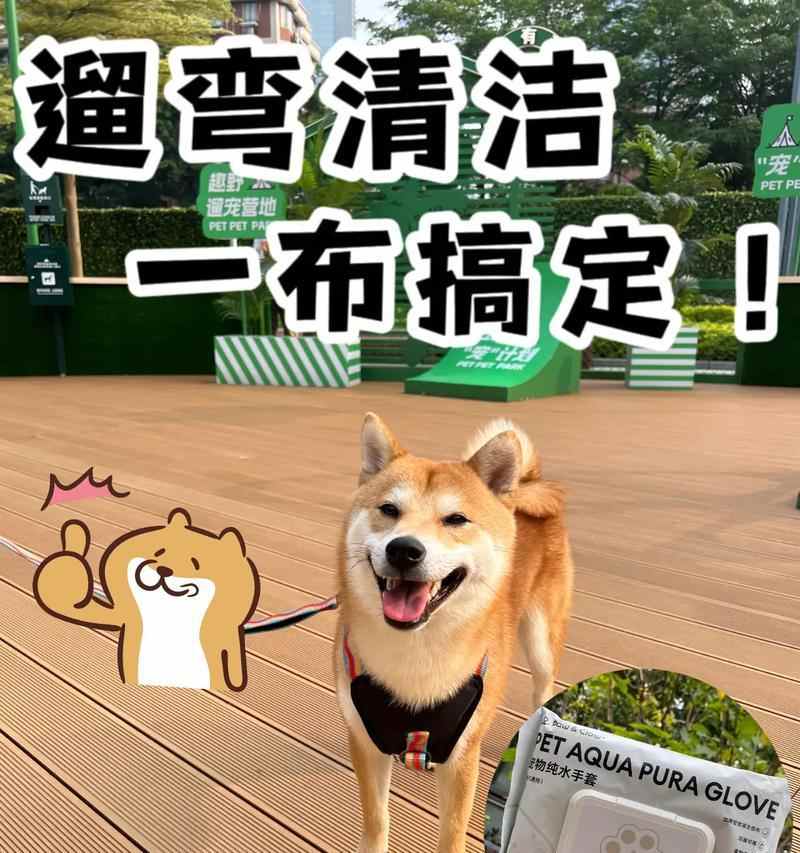 如何正确清洁狗狗屁股｜五步实用指南