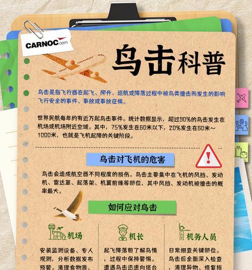 候鸟迁徙危害解析｜生态农业与健康影响全攻略