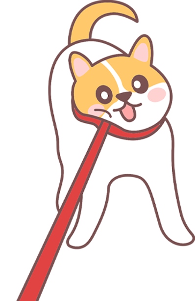 老年犬饲养方法