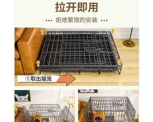 猫咪适应笼子需要多长时间？（猫咪、适应、笼子、时间）
