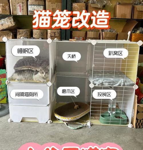 猫咪适应笼子需要多长时间全攻略