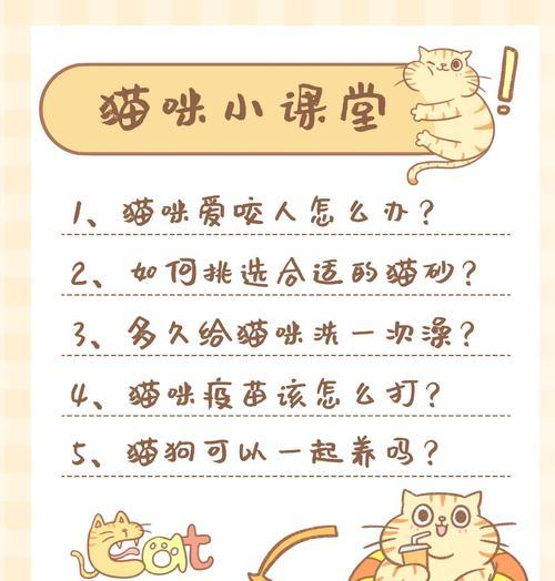 解决猫咪爱抓人咬人毛病的方法（如何避免和纠正猫咪攻击人的行为）
