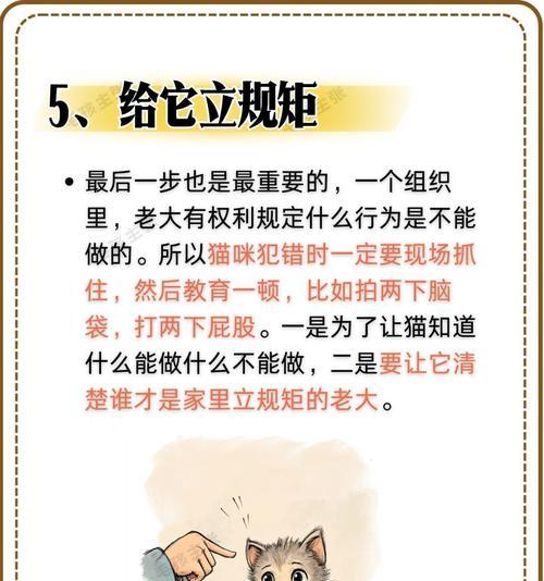 解决猫咪爱抓人咬人毛病的方法（如何避免和纠正猫咪攻击人的行为）