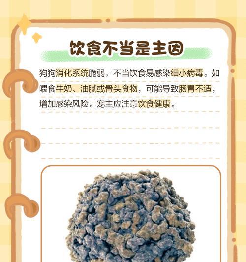 狗狗乱尿的原因及解决方法（为什么狗狗会乱尿？如何纠正乱尿行为？）