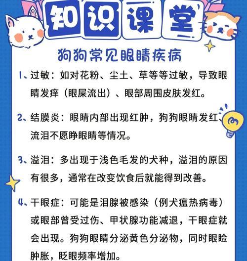小心这3种眼睛炎症，治疗慢了可能要摘除眼睛（了解眼睛炎症，保护狗狗的视力健康）