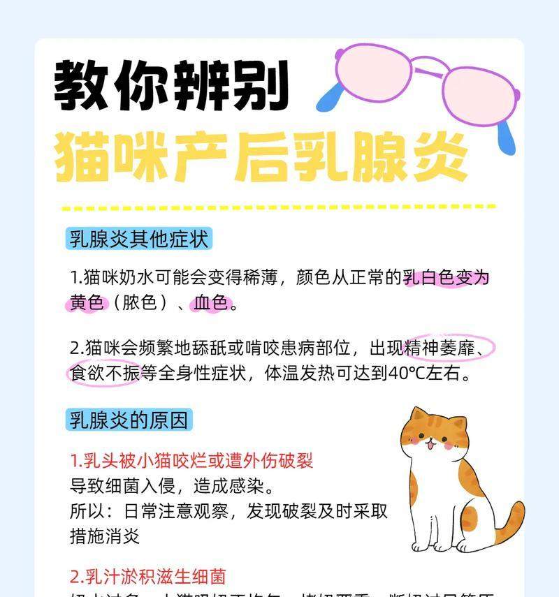 猫咪产后多久开始有奶水全攻略