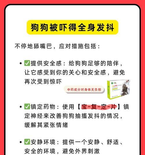 小狗受惊吓后需要多久恢复正常？（了解小狗受惊吓后的行为变化及恢复时间）