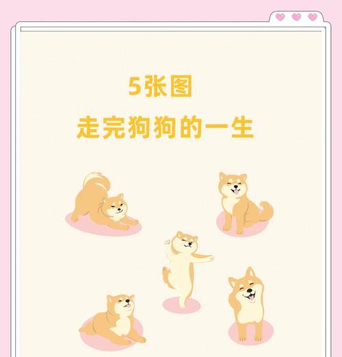 小狗生下来多久睁开眼？（了解小狗的眼睛成长周期）