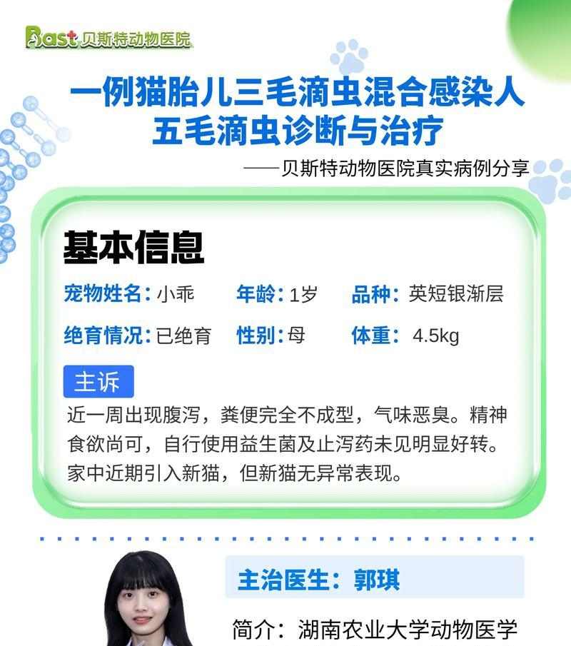 猫咪拉稀多久会好全攻略
