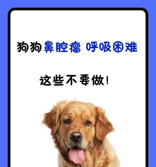 了解狗鼻肿瘤的症状及相关情况（狗鼻肿瘤的早期症状和预防措施）