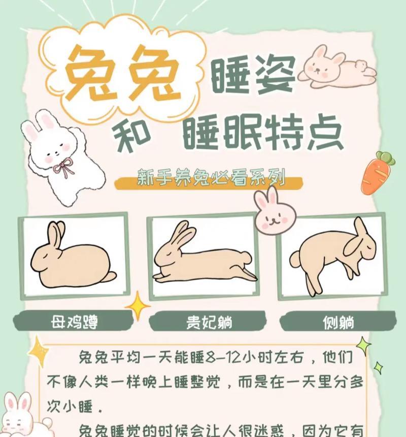 帮助兔子早点恢复——缓解兔子消化不良便秘的方法（关注兔子健康，从解决消化问题开始）