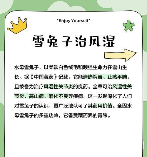 帮助兔子早点恢复——缓解兔子消化不良便秘的方法（关注兔子健康，从解决消化问题开始）