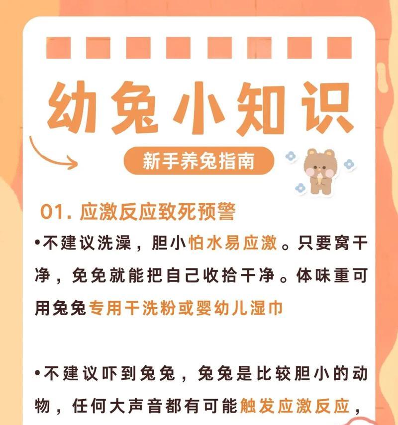 帮助兔子早点恢复——缓解兔子消化不良便秘的方法（关注兔子健康，从解决消化问题开始）