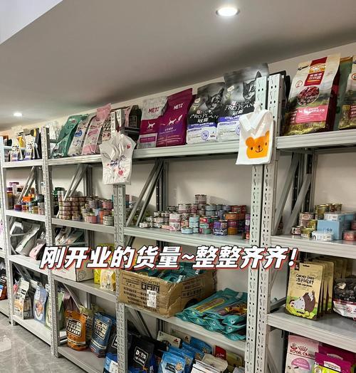 开一家宠物用品店的经营之道（打造全方位的宠物用品购物体验，）