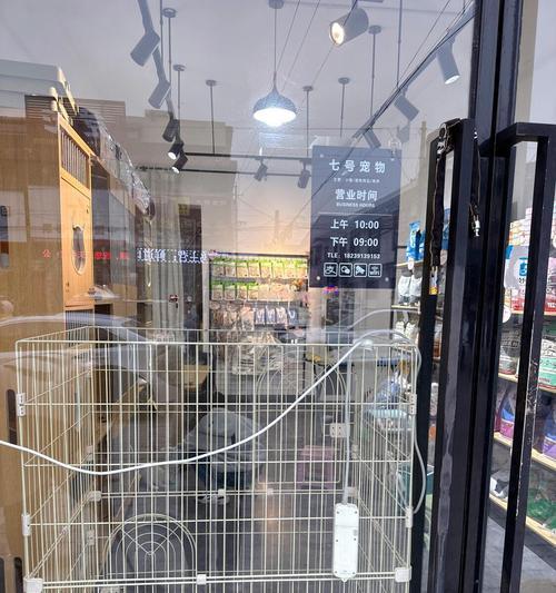 开一家宠物用品店的经营之道（打造全方位的宠物用品购物体验，）