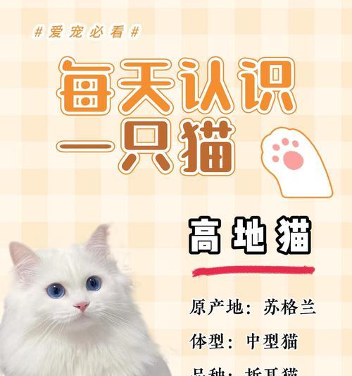 猫的繁殖之谜｜科学解析遗传与繁殖规律