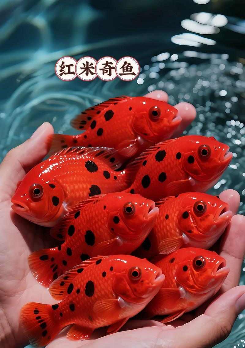 金鱼食的喂养技巧（金鱼食怎么喂？了解这些）