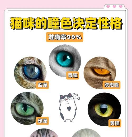 猫咪性格特征大揭秘（探寻猫咪的天性与行为习性，让你更了解你的小伙伴）