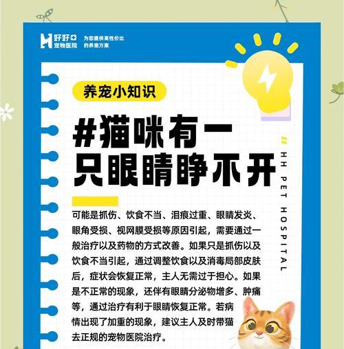 猫的眼睛清洁之道（了解猫眼清洁的重要性及正确方法）