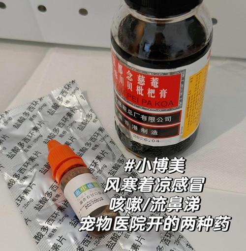 狗狗感冒应该如何治疗？（细小犬瘟是否是感冒的症状？应该如何辨别？）