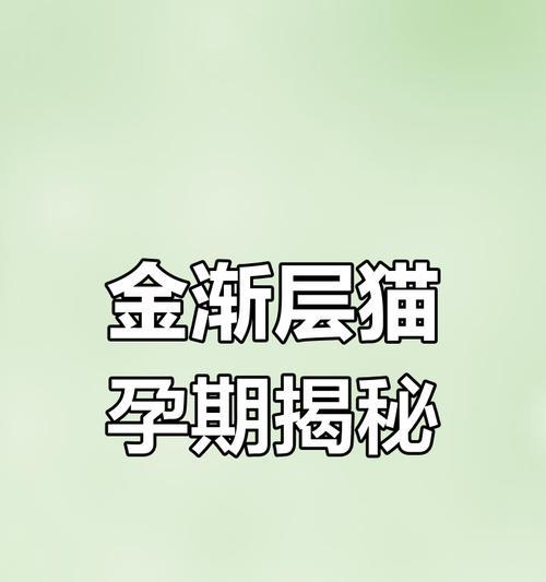 猫咪怀孕多久能生（猫咪妊娠周期及注意事项）