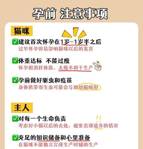 猫咪怀孕多久能生｜妊娠周期与注意事项全攻略