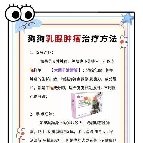 狗狗乳腺肿瘤的饮食管理（探索适合狗狗乳腺肿瘤患者的健康食谱）