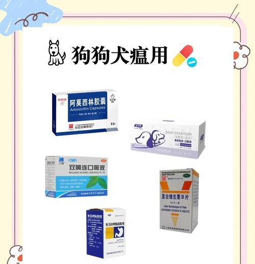 狗狗感冒治疗与细小犬瘟辨别指南