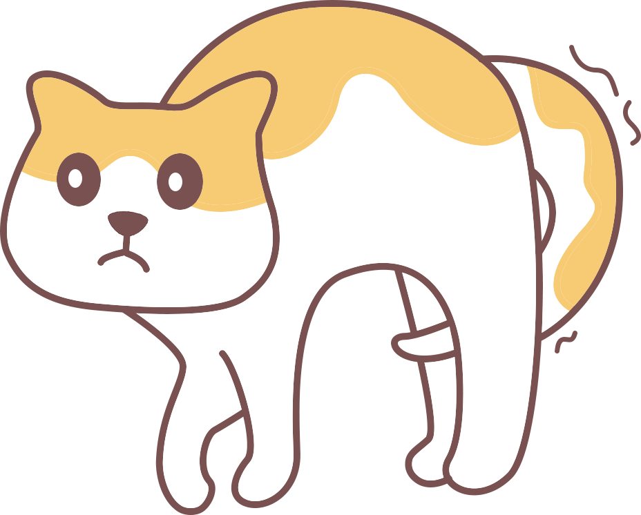 为什么猫咪老想往外跑怎么办？