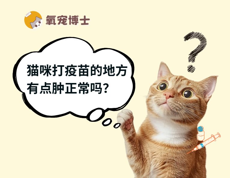 猫咪打疫苗的地方有点肿