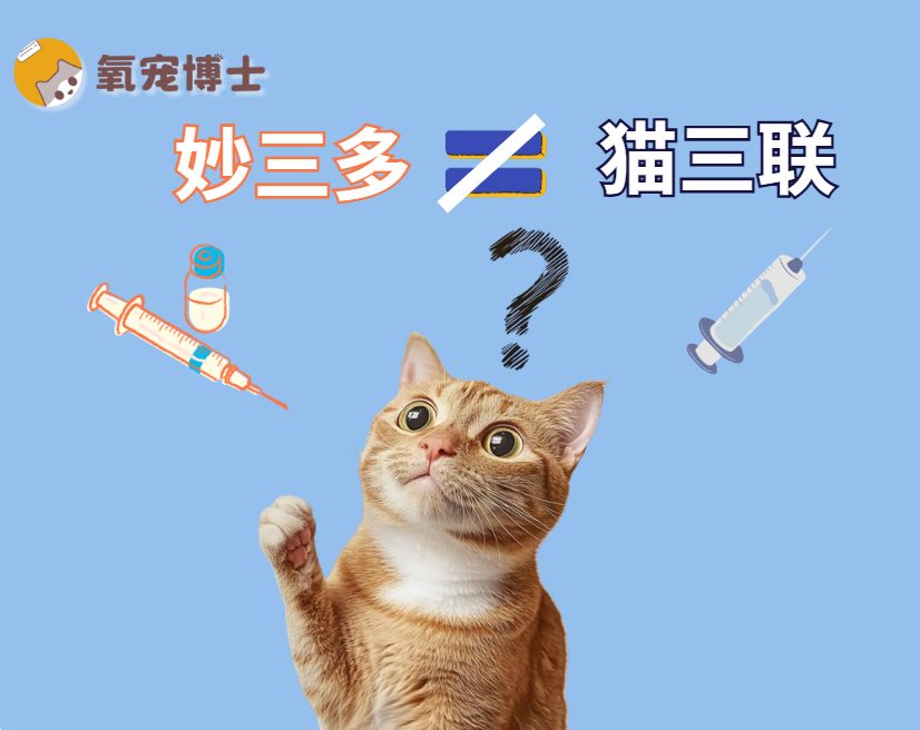 猫三联VS妙三多区别全攻略