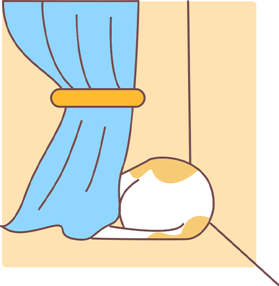 猫咪应激自救指南