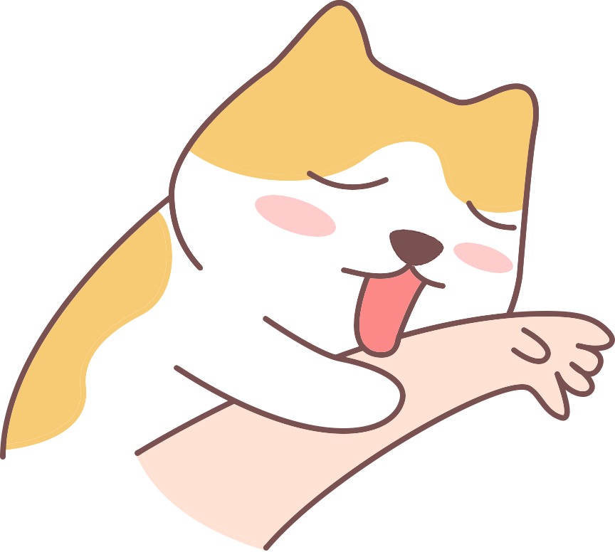 猫咪几周带回家比较合适？