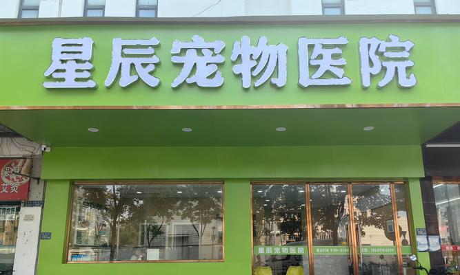滨州市宠物医院（关心宠物健康，细心呵护您的爱宠）