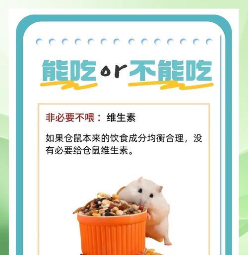 小猫吃了仓鼠，引发的悲剧和反思（宠物之间的相处之道与责任感）
