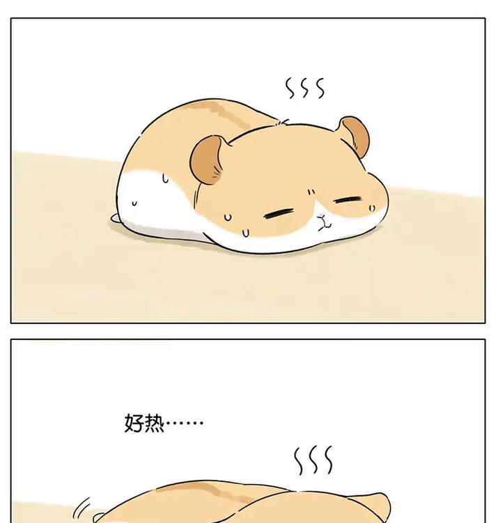 小猫吃了仓鼠，引发的悲剧和反思（宠物之间的相处之道与责任感）