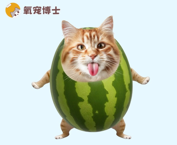 猫咪绝育会变丑吗？