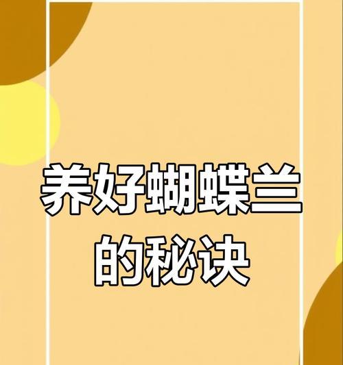 蝴蝶兰的养殖全面解读（从种植到护理，打造美丽花园中的明星植物）
