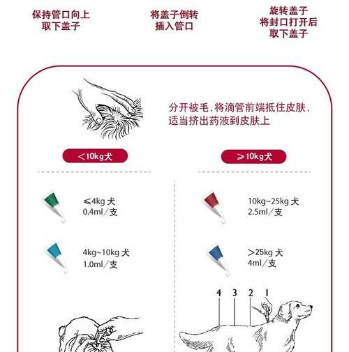 金毛犬驱虫知识大揭秘！（宠物家长必备的金毛体外驱虫技巧与经验分享）