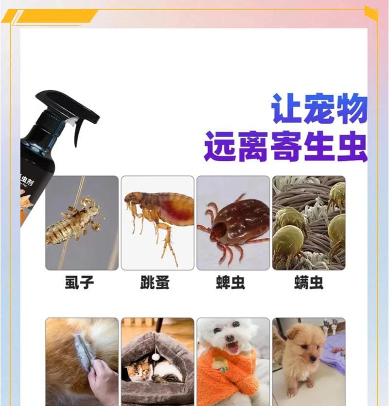 如何判断你的狗是否有跳蚤？（简单方法帮你发现并解决狗身上的跳蚤问题）