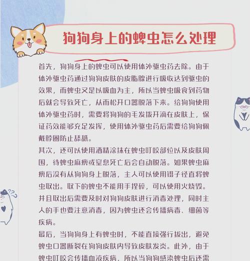 金毛犬驱虫知识大揭秘！（宠物家长必备的金毛体外驱虫技巧与经验分享）