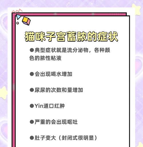 猫的子宫蓄脓危害与处理方法｜养猫者必读全攻略