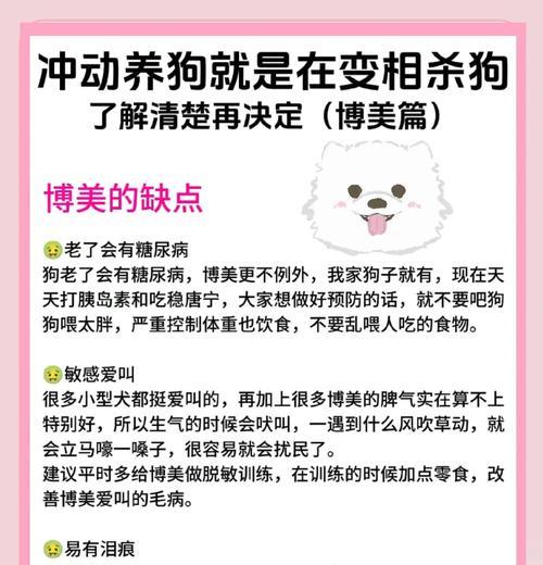 如何正确饲养幼犬博美？（保暖是关键，方法很重要）