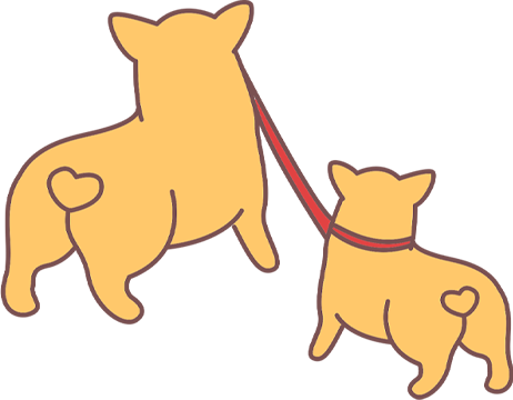 老年犬关节疾病