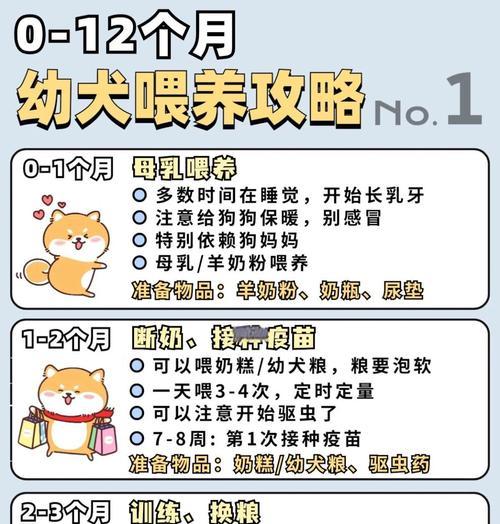 科学喂养鹩哥的关键知识（养鹩哥的注意事项及喂养技巧）