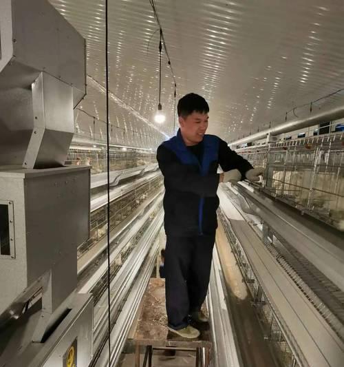 宠物狗人工输精的方法与注意事项（提高繁殖效率的关键技巧与建议）