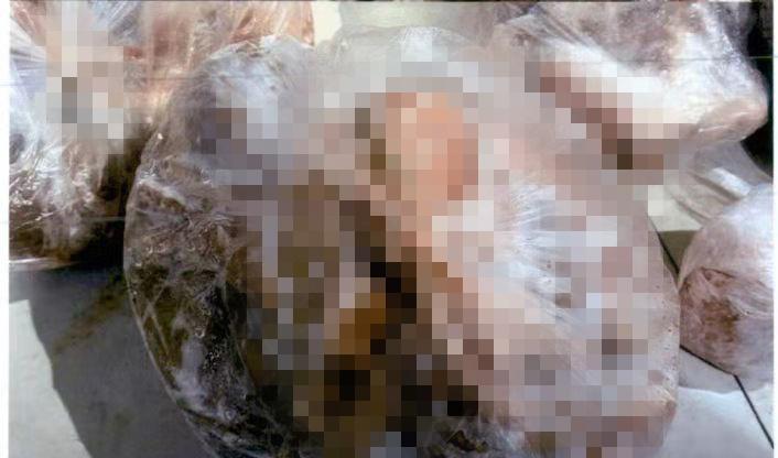 以氢酸钾铝治疗狗的药物效果及注意事项（探究以氢酸钾铝药物对狗的治疗效果及使用注意事项）