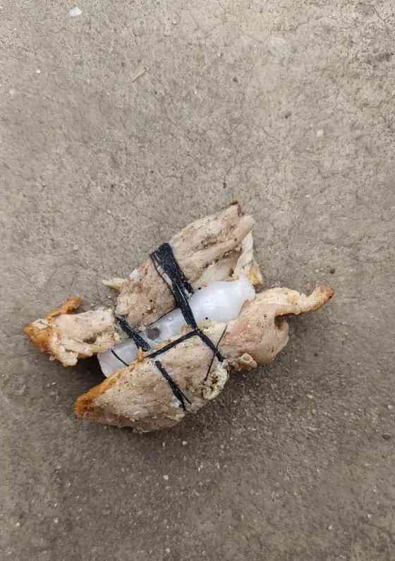 以氢酸钾铝治疗狗的药物效果及注意事项（探究以氢酸钾铝药物对狗的治疗效果及使用注意事项）