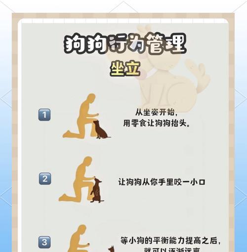 以马犬社会化训练的重要性全攻略